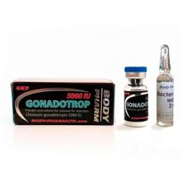 Gonadotropin BodyPharm - Human Chorionic Gonadotropin - BodyPharm